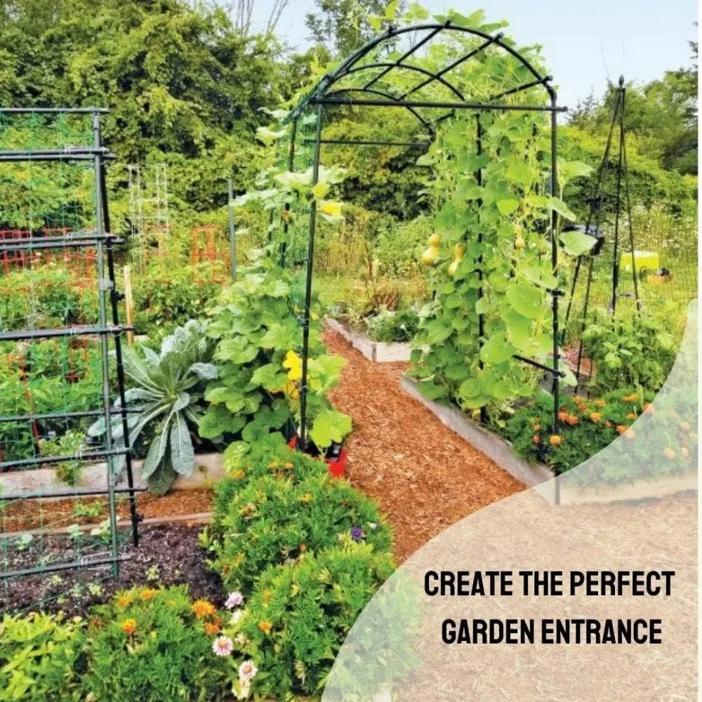 Extra Tall Garden Arch Titan Squash Tunnel