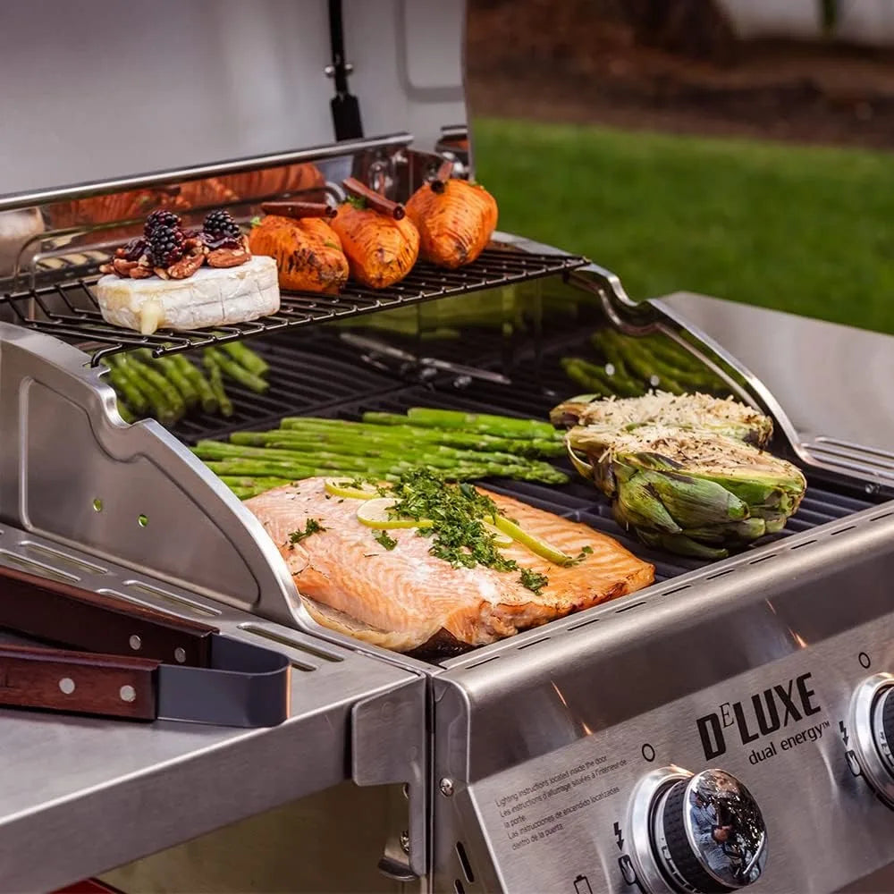 Deluxe 2-Burner Gas Grill with Warming Rack