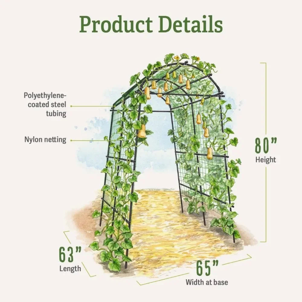 Extra Tall Garden Arch Titan Squash Tunnel