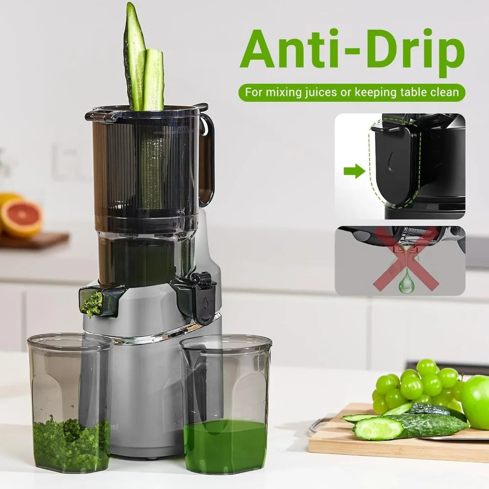 Self-Feeding Masticating Juicer