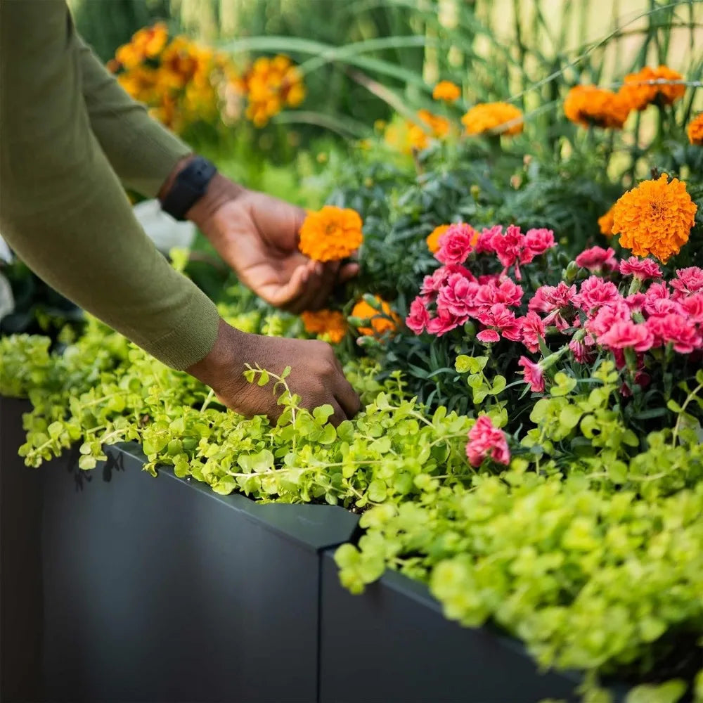 Modern Raised Garden Bed Heavy Cube Box