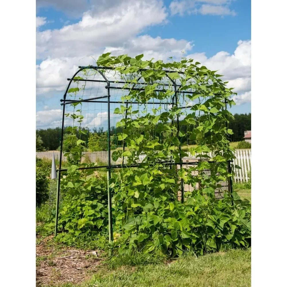 Extra Tall Garden Arch Titan Squash Tunnel