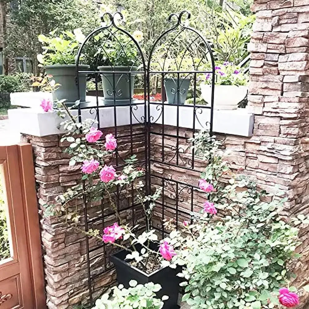 Black Metal Garden Trellis