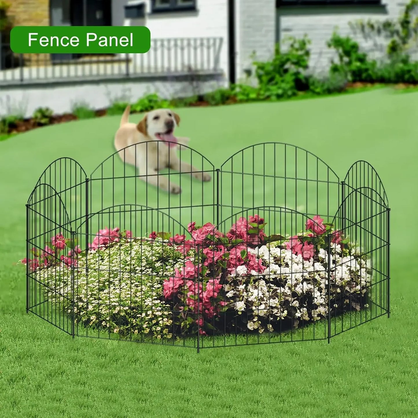 Decorative Metal Garden Fence