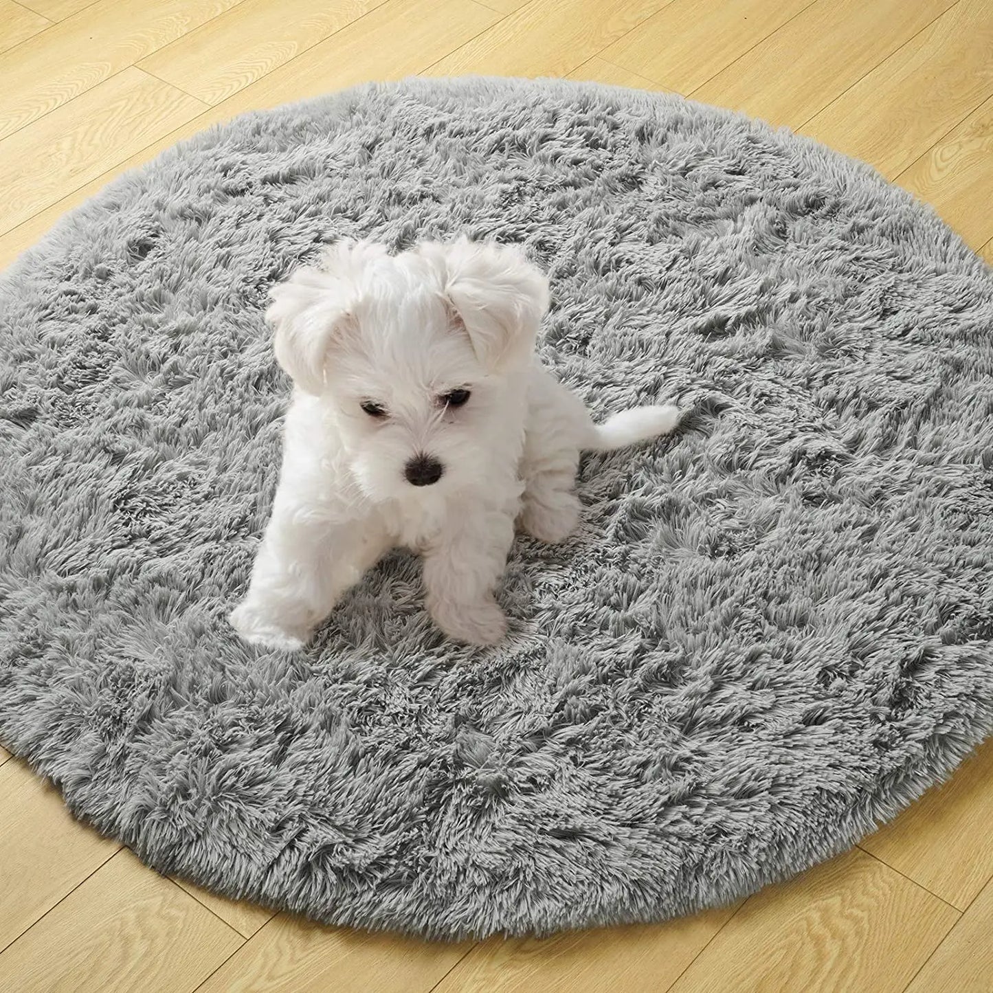 Carpet Living Room Round Thick Carpet