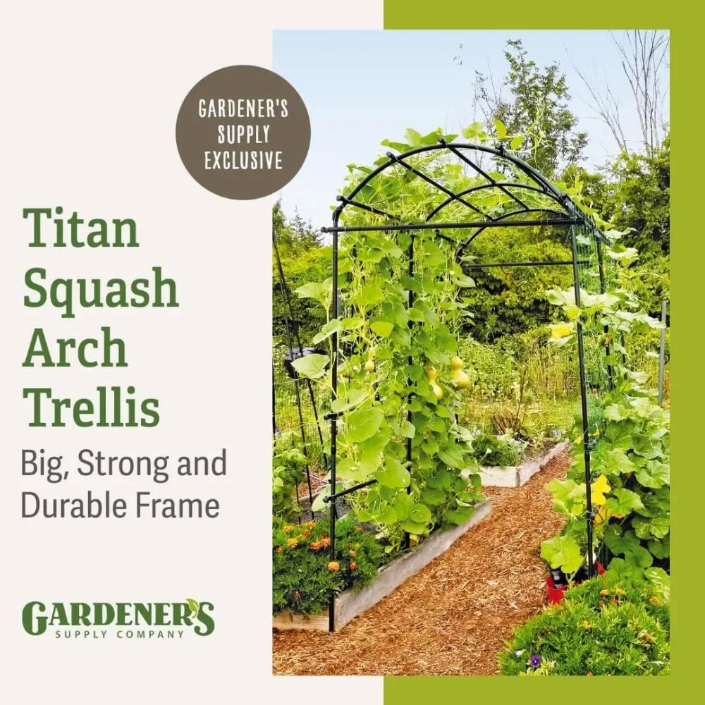 Extra Tall Garden Arch Titan Squash Tunnel